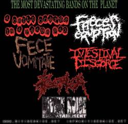 Intestinal Disgorge : The Most Devastating Bands on the Planet